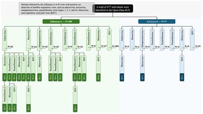 Viral co-detection of influenza virus and other respiratory viruses in hospitalized Brazilian patients during the first three years of the coronavirus disease (COVID)-19 pandemic: an epidemiological profile